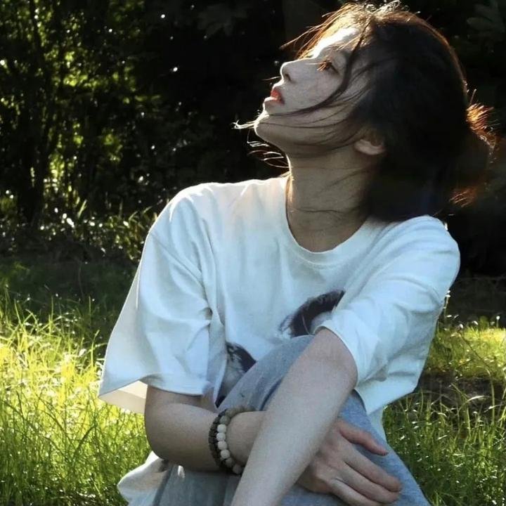 以规则之名